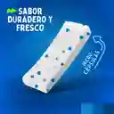 Trident Chicle Sin Azúcar Menta 9 g