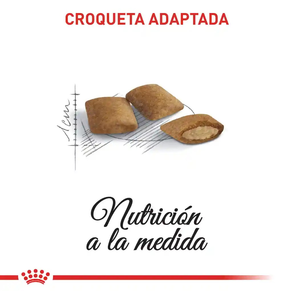 Royal Canin Health Nutrition Dry Ageing +12 2Kg