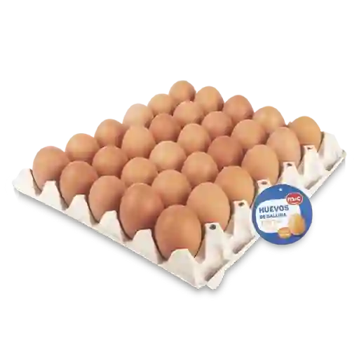 M&C Huevo Amarrado Tipo A