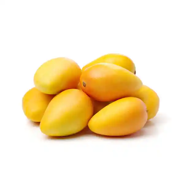 Mango Común