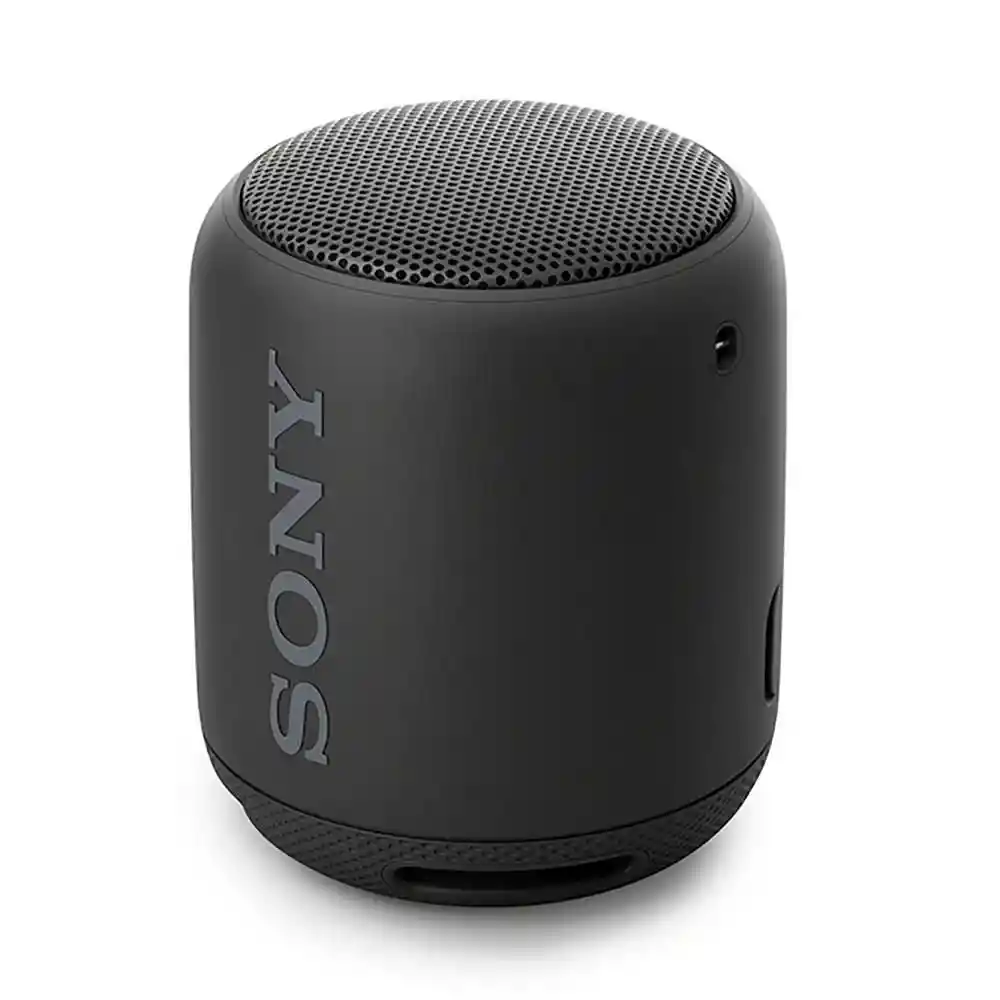 Sony Parlante