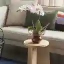 Hubsch Florero Show Rosa Ambar