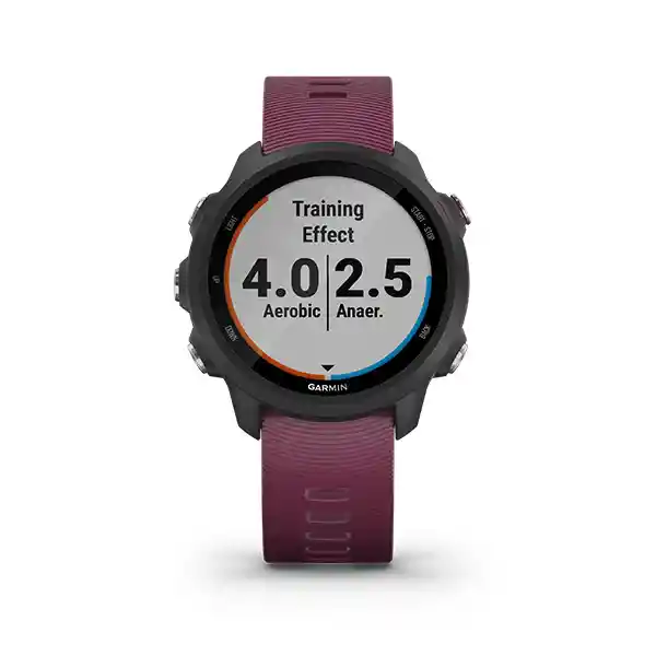 Reloj Forerunner 245 Black/berry