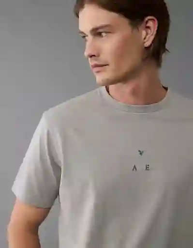 Camiseta Hombre Gris Talla: LARGE 4230020 American Eagle