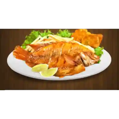 Mojarra