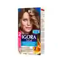 Igora Tinte Vital Rubio Mediano 7-00 100 mL