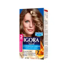 Igora Tinte Vital Rubio Mediano 7-00 100 mL