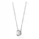 Collar Constella Plateado 5647663 Swarovski