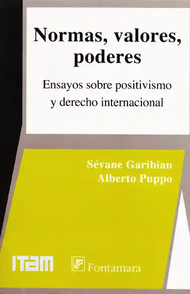 Normas, valores, poderes. Ensayos sobre positivismo y derecho internacional