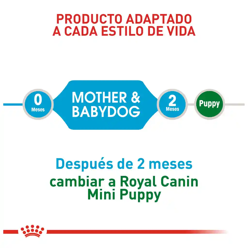 Royal Canin Alimento para Perro Pequeño Starter Mother & Babydog