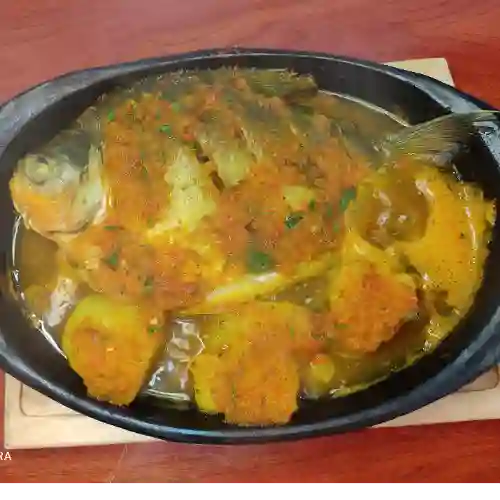 Cachama Sudada