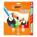 Bic Lápiz de Color Evolution Lapices Hb