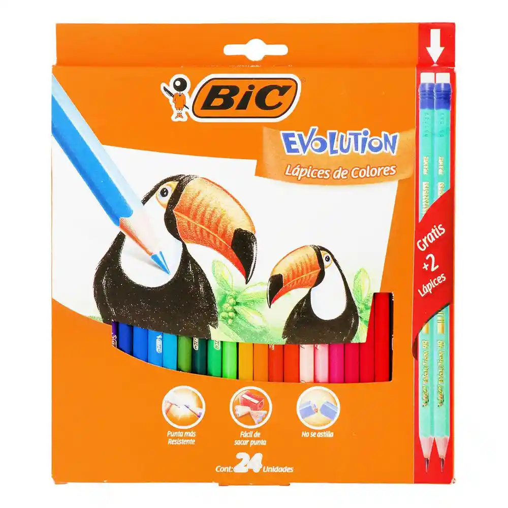 Bic Lápiz de Color Evolution Lapices Hb