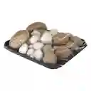 Champiñones Mixtura
