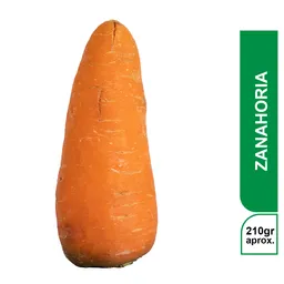Zanahoria EC