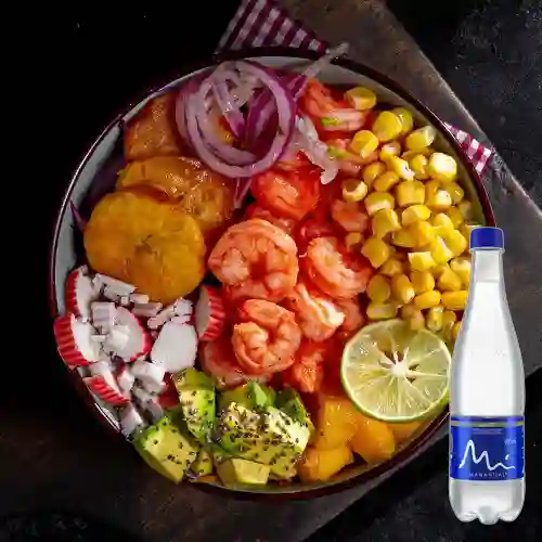 Combo Sea Bowl + Manantial Sin Gas 600ML