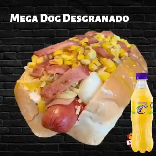 Combo Mega Dog Desgranado + Quatro Original 400ML