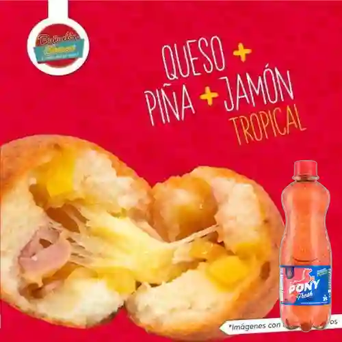 Combo Buñuelo Tropical + Pony Malta 330 ml