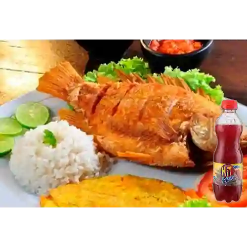 Combo Mojarra Frita + Hit Mora 500 ml