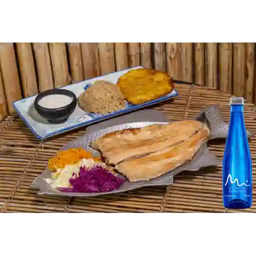 Combo Trucha a la Plancha + Manatial Sin Gas 500ML