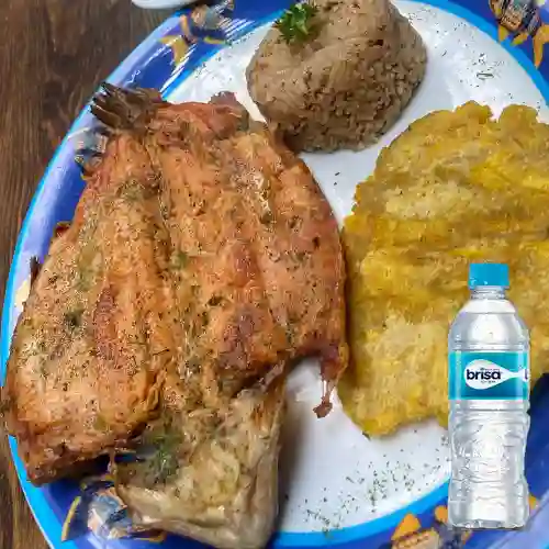 Combo Trucha Frito O Al Ajillo + Brisa Sin Gas 300 ml