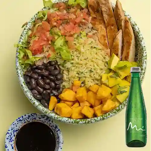 Combo Bowl 10 & 4 - Birria + Manantial Con Gas 300 ml