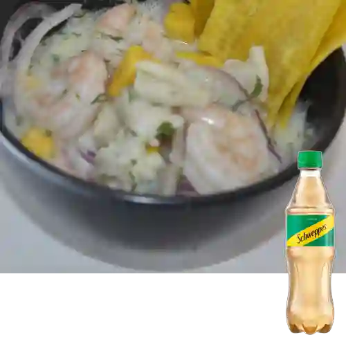 Combo Peruano Grande + Schweppes Ginger Ale 400ML