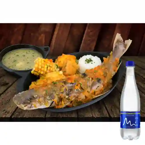 Combo Viudo de Capaz + Manantial Sin Gas 600ML