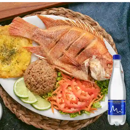 Combo Tilapia + Manantial Sin Gas 600ML