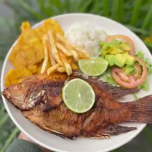 Mojarra Frita