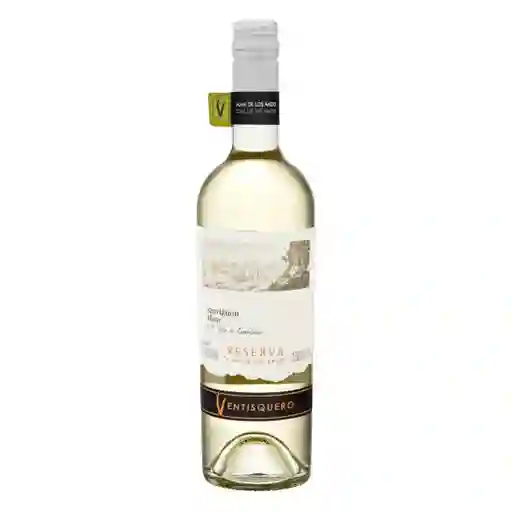 Ventisquero vino blanco.