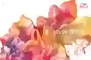  Color Touch Tinte Semi Permanent E 