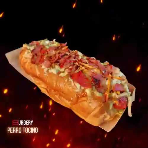 Perro Tocino