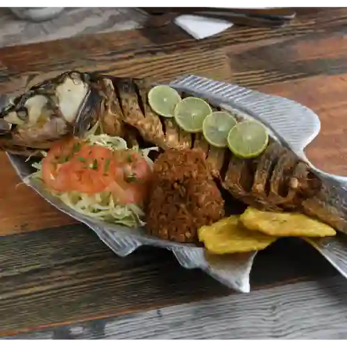 Lebranche Frito