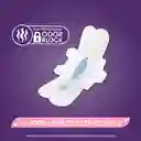 Toallas Higiénicas Kotex Nocturna Ultraprotect 48 Und
