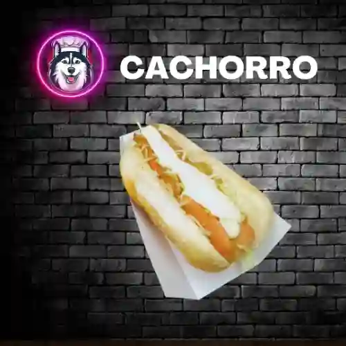 Cachorro