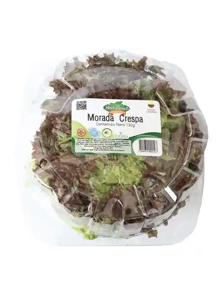 Hortifresco Lechuga Morada Crespa Pet