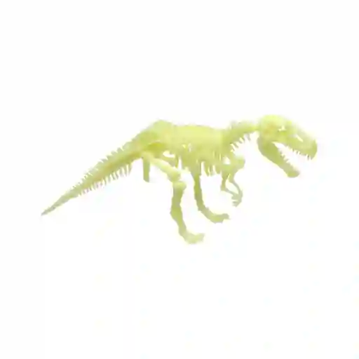 Esqueleto Dino Infantil Diseño 0001