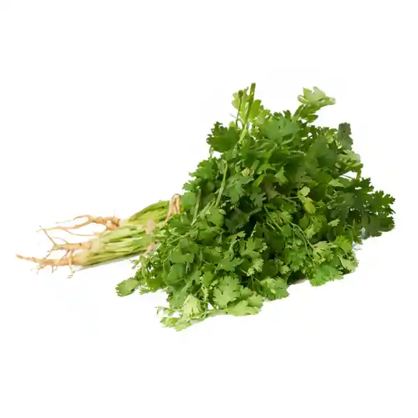 Makand Cilantro Kosher