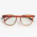 Barner Gafas de Lectura Dalston Cobre + 1.50