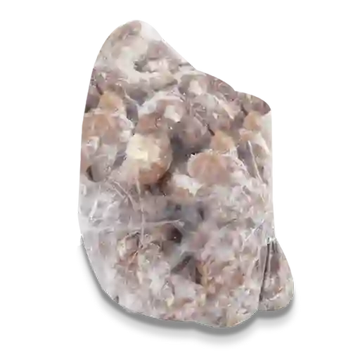 Ternez Chunchullo Congelado
