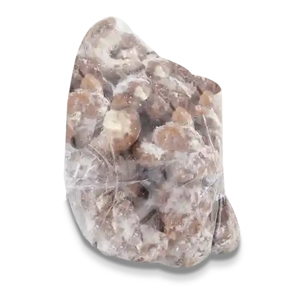 Ternez Chunchullo Congelado