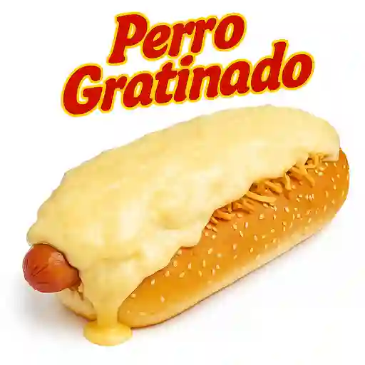 Perro sencillo
