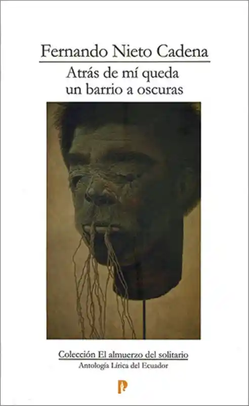 Atrás de Mí Queda un Barrio a Oscuras - Fernando Nieto Cadena