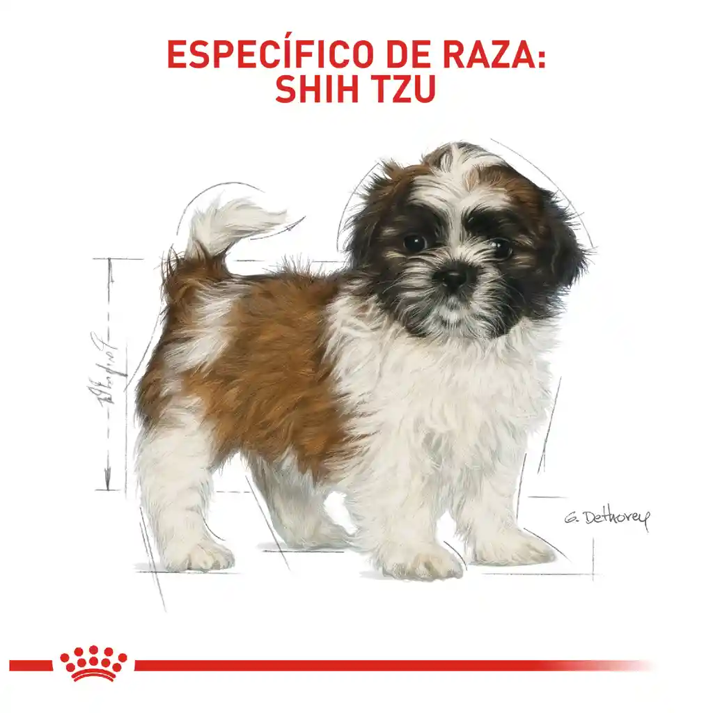 Royal Canin Breed Health Nutrition Shih-Tzu Puppy 1,5Kg