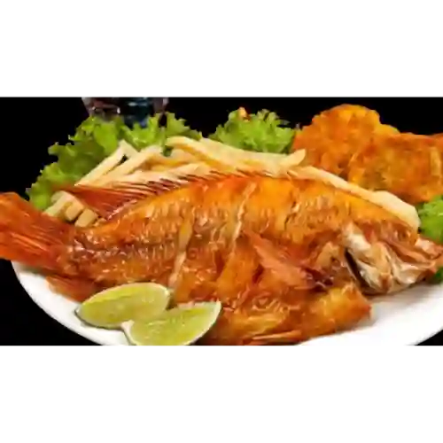 Mojarra Frita