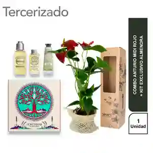 Combo Anturio Midi Rojo + Kit Exclusivo Almendra Loccitane