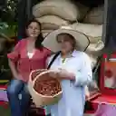 Juan Valdez Café Mujeres Cafeteras Molido