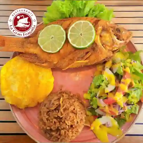 Tilapia