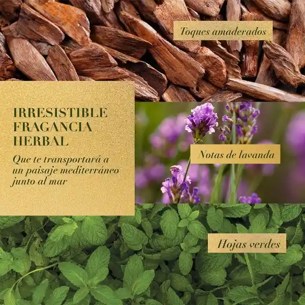 Herbal Essences Acondicionador Rosemary & Herbs